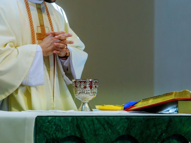 Father Peter Van Der Linden Sexual Abuse Allegations
