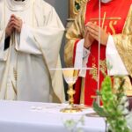 Texas Catholic Diocese Priest Sex Abuse List